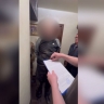 Житель Ярославля задержан за призывы к насилию против высшего руководства России
