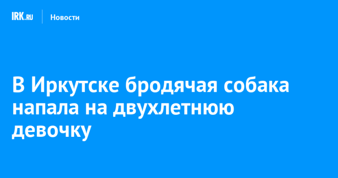 В Иркутске бродячая собака напала на двухлетнюю девочку В Иркутске бродячая собака напала на двухлетнюю девочку