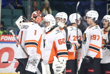 Амур – Автомобилист: прямая трансляция, где смотреть матч онлайн 9 ноября