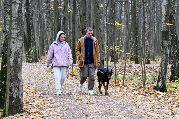 Rambler&Co: 41% россиян испытывает осенью упадок энергии и настроения