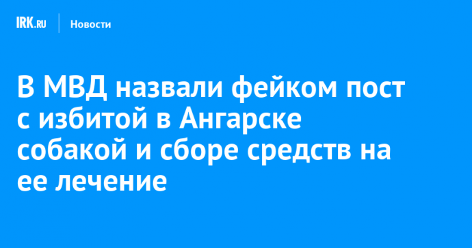 В МВД назвали фейком пост с избитой в Ангарске собакой и сборе средств на ее лечение