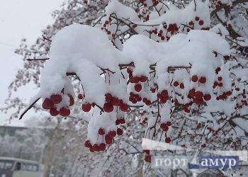 В Амурской области похолодает до -31° В Амурской области похолодает до -31°