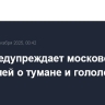 МЧС предупреждает московских водителей о тумане и гололедице