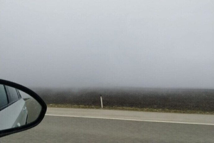 Туман и гололед ожидаются в Белгородской области 3 декабря Туман и гололед ожидаются в Белгородской области 3 декабря