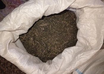 Амурчанин с марихуаной в пакете попался пограничникам на КПП Амурчанин с марихуаной в пакете попался пограничникам на КПП