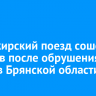 Пассажирский поезд сошел с рельсов после обрушения моста в Брянской области