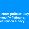 В Боханском районе ищут 85-летнюю Гу Гуйлань, заблудившуюся в лесу