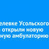 В Мишелевке Усольского района открыли новую врачебную амбулаторию