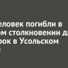 Пять человек погибли в лобовом столкновении двух иномарок в Усольском районе