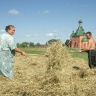 Анютины грядки: блогеры зовут жить и работать в деревне...