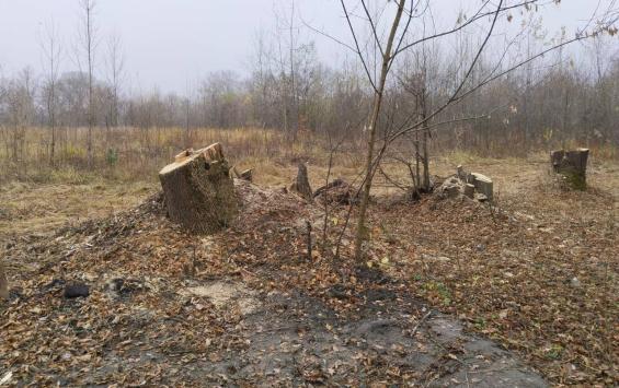 В Курске нашли недоработки в содержании парка «Боева дача»