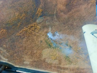 В 33 км от Покровска возник лесной пожар