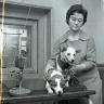 Лекции, квест и собаки-роботы. Музей космонавтики отмечает 65-летие знаменитого полета Белки и Стрелки