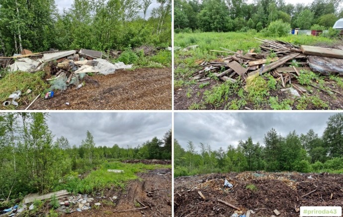 В Кирове через суд потребовали ликвидировать свалку в СНТ