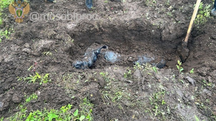 Молодой человек, закопавший тело своей девушки в Тульской области, заключен под стражу