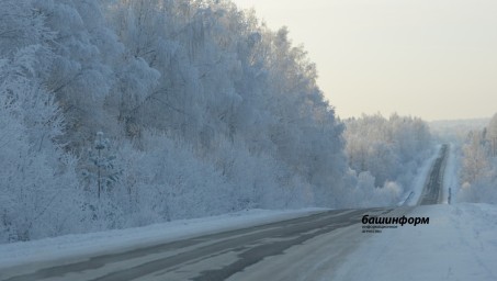 Главный автоинспектор Башкирии призвал жителей воздержаться от поездок