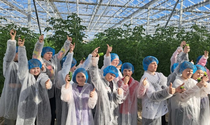 Новгородские школьники провели агрокласс в теплицах «Трубичино»