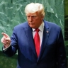NYT: во время первого президентского срока Трамп называл Зеленского ублюдком