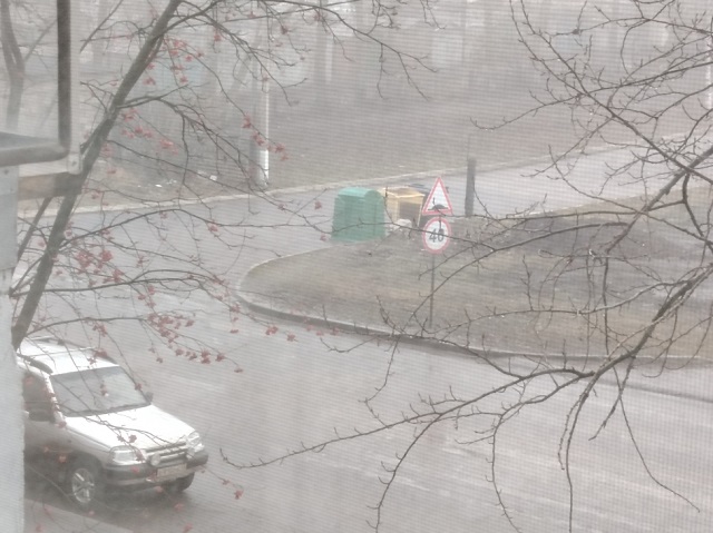 2 декабря в Мордовии ожидается туман с видимостью 500-1000 м 2 декабря в Мордовии ожидается туман с видимостью 500-1000 м