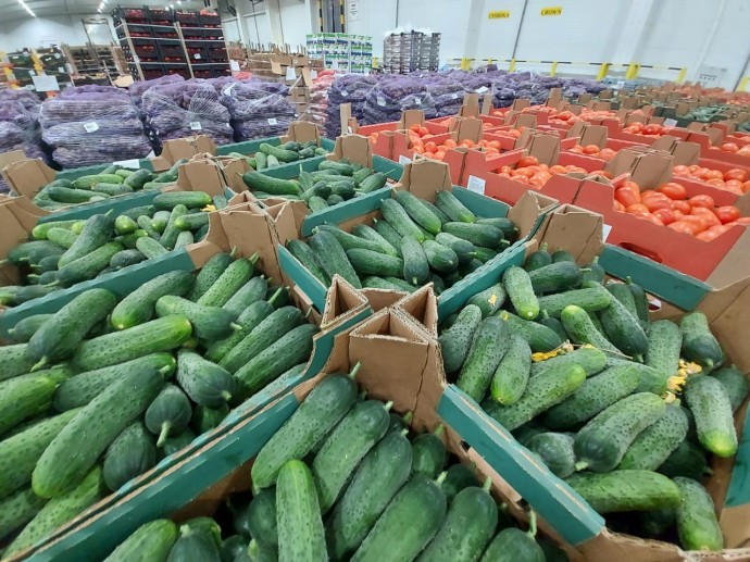 В Ярославской области огурцы в январе подорожали на 35%