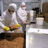 Маловишерский завод обеспечивает пряностями почти все мясные предприятия РФ