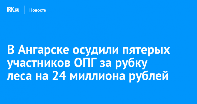 В Ангарске осудили пятерых участников ОПГ за рубку леса на 24 миллиона рублей