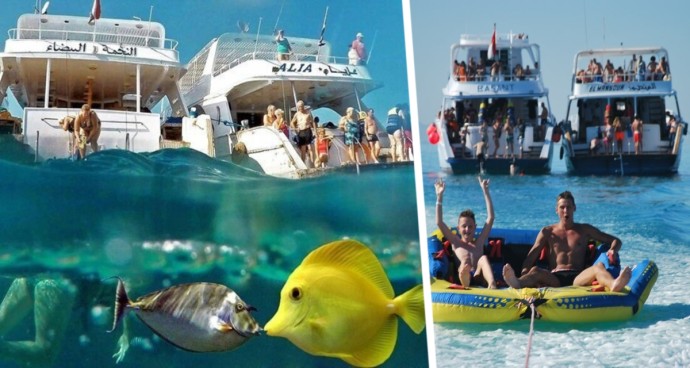 Маски-убийцы: как не потерять сознание под водой в Египте и Таиланде? Туристов предупредили об опасности снорклинга Маски-убийцы: как не потерять сознание под водой в Египте и Таиланде? Туристов предупредили об опасности снорклинга