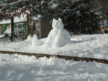 Камчатская управляющая компания заплатит жительнице 150 тысяч за скользкий двор Камчатская управляющая компания заплатит жительнице 150 тысяч за скользкий двор