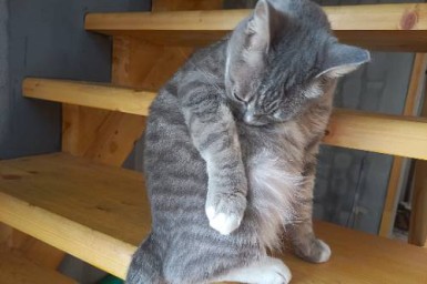 Овны столкнутся со злобным отношением, Рыб одолеет чувство беспомощности