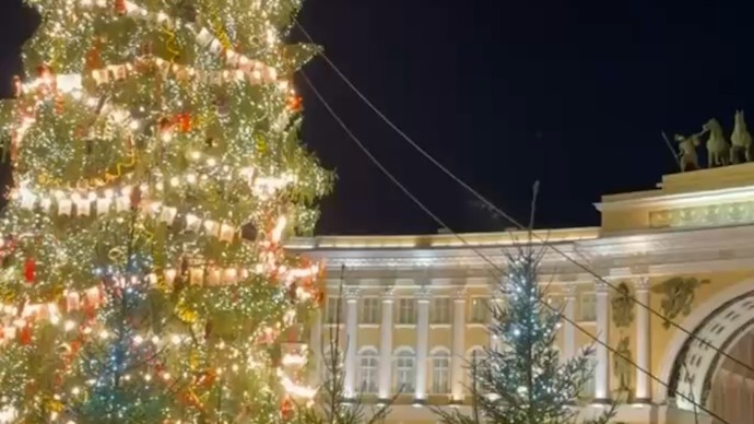 Из-за сильного ветра главную ель Петербурга укрепили тросами