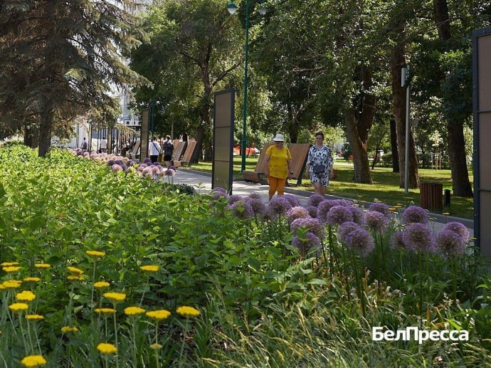 Как отдохнуть белгородцам 27–29 июня