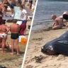 Крым в штормовом захвате и трагедии на пляжах: за выходные на полуострове утонуло 5 туристов