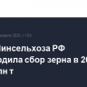 Глава Минсельхоза РФ подтвердила сбор зерна в 2024 г. в 129,8 млн т