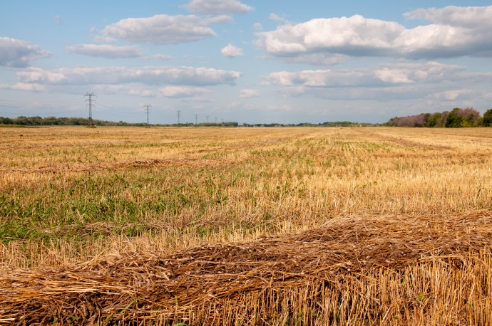 В России изменится процедура оценки стоимости изъятых сельхозземель