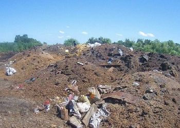 В Приамурье на сельхозучастке устроили громадную свалку
