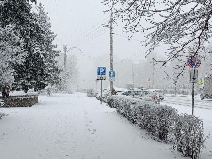 В Белгородской области усилят меры безопасности на новогодних праздниках