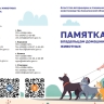 Самовыгул запрещен, необходима регистрация: сахалинцам напомнили о правилах содержания домашних животных
