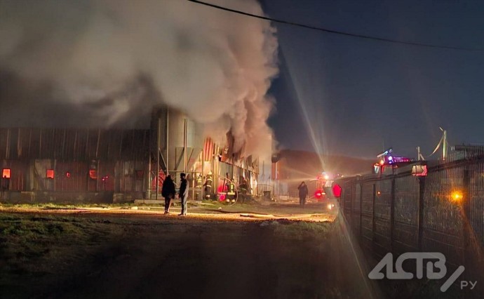 Сотни животных погибли в крупном пожаре в Анивском районе