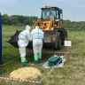 Фермер нашел труп кабана: в Приамурье провели ветеринарные учения