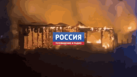 Собака погибла в огне в коттеджном посёлке у деревни Медвенка