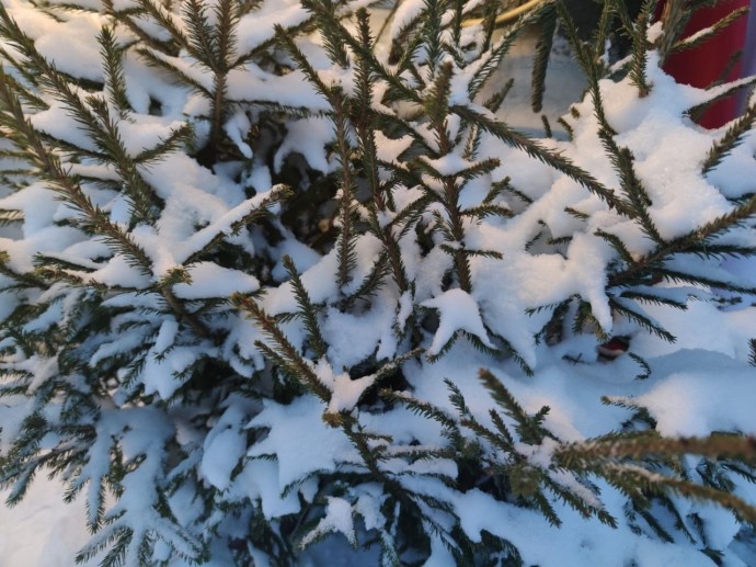 В Башкирии дали удивительный прогноз на январь, февраль и март