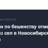 Карантин по бешенству отменен в одном из сел в Новосибирской области