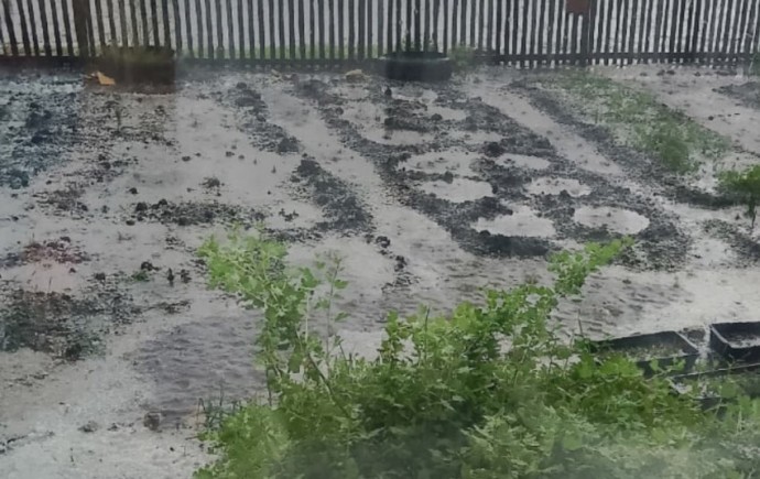 Урожая не будет? На Южном Урале посадки в садах побило градом Урожая не будет? На Южном Урале посадки в садах побило градом
