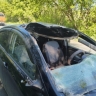 В Уфе лось попал под колеса автомобиля