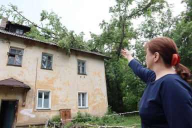 В ГЖИ прокомментировали инцидент с рухнувшим на жилой дом аварийным тополем