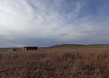 В Приамурье суд признал недействительной сделку аренды земли