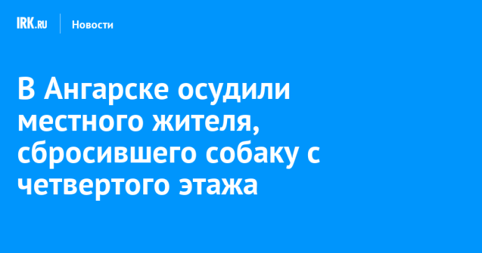 В Ангарске осудили местного жителя, сбросившего собаку с четвертого этажа