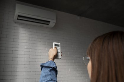 Ветеринар высказался об опасности кондиционера для домашних животных