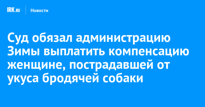 Суд обязал администрацию Зимы выплатить компенсацию женщине, пострадавшей от укуса бродячей собаки