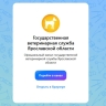 Канал ветеринарной службы Ярославской области создан в мессенджере «МАХ»
